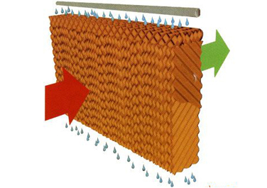 ���񺟼���