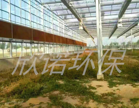 �Nֲ����ͨ�L���ذ���