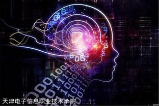 邁向國際高端服務業的橋梁——國家示范校央財支持重點建設專業“軟件外包服務”建設綜述